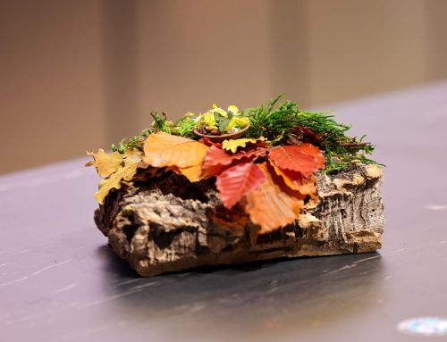 Gastronomic Forum Barcelona contará con la mayor oferta expositiva de su historia