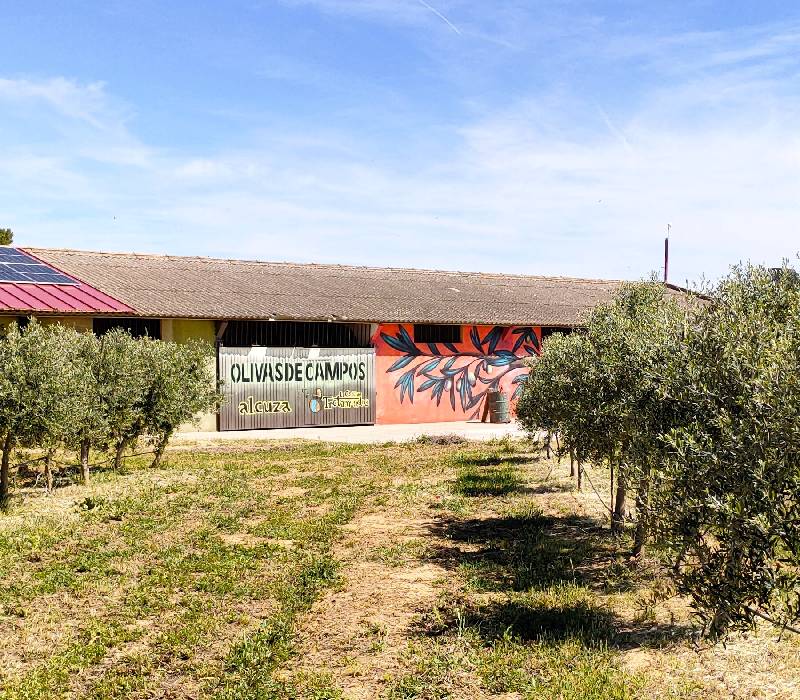 Tierra de Campos