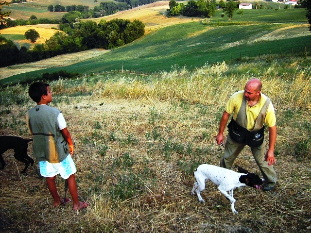 Acqualagna