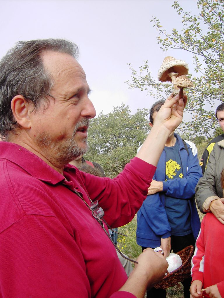 festa del bolet