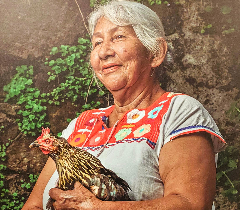 México