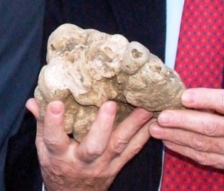 Urbani Tartufi