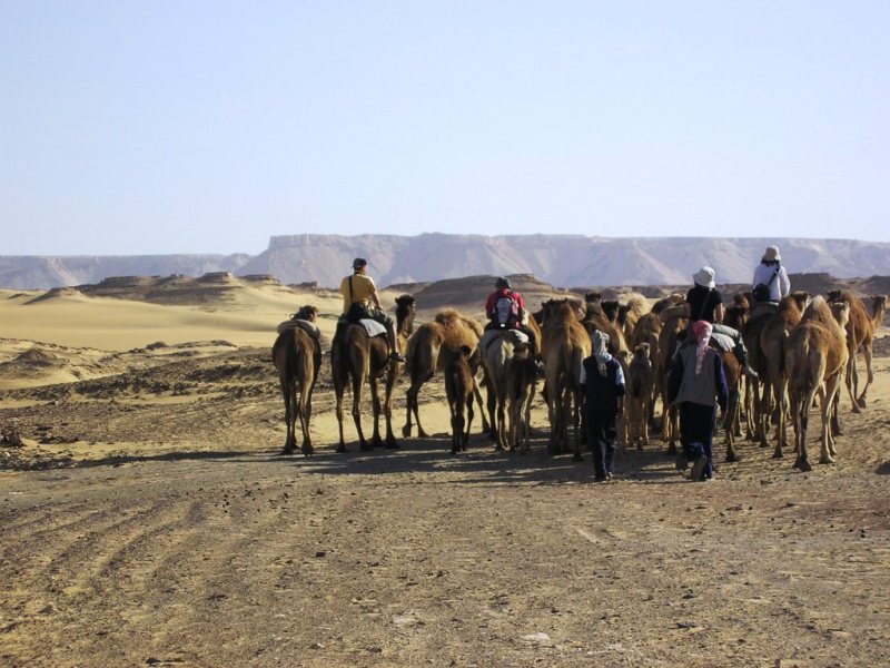 trufa del desierto